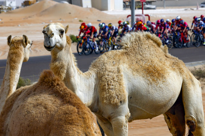 Stage 2 of UAE Tour Womens 